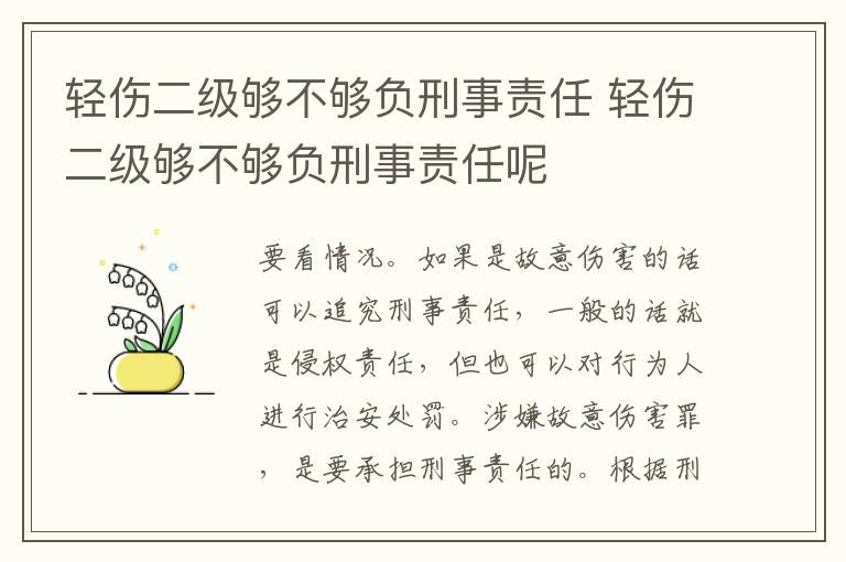 輕傷二級夠不夠負刑事責任 輕傷二級夠不夠負刑事責任呢