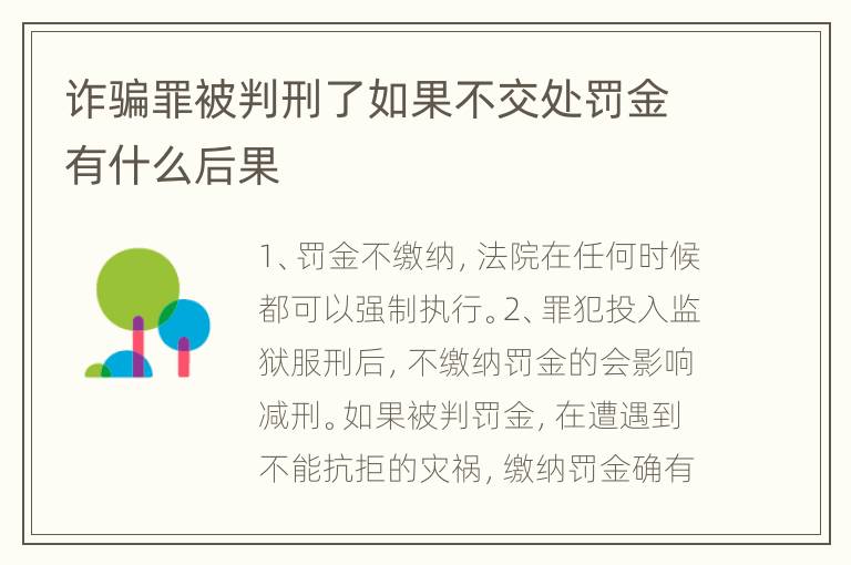 詐騙罪被判刑了如果不交處罰金有什么后果