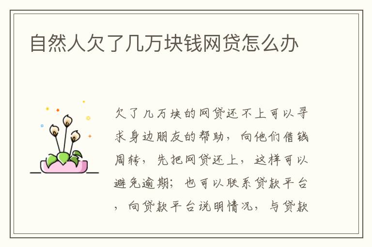 自然人欠了幾萬(wàn)塊錢網(wǎng)貸怎么辦