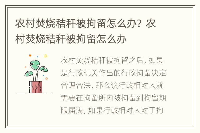 農(nóng)村焚燒秸稈被拘留怎么辦？ 農(nóng)村焚燒秸稈被拘留怎么辦