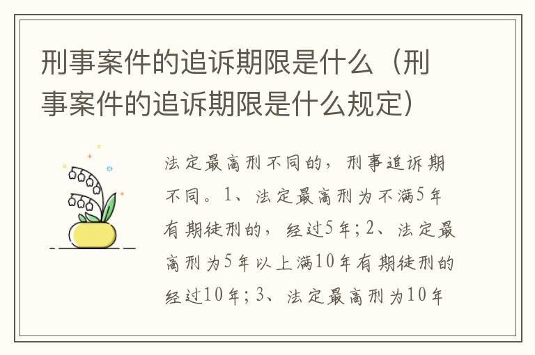 刑事案件的追訴期限是什么（刑事案件的追訴期限是什么規(guī)定）