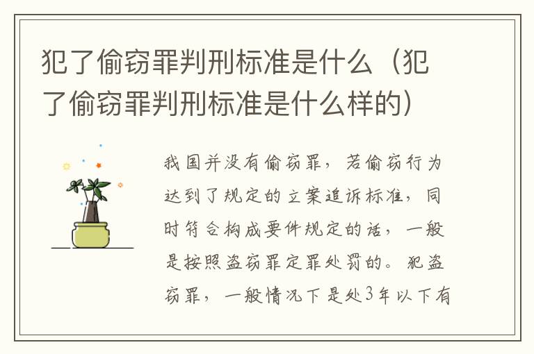 犯了偷竊罪判刑標(biāo)準(zhǔn)是什么（犯了偷竊罪判刑標(biāo)準(zhǔn)是什么樣的）