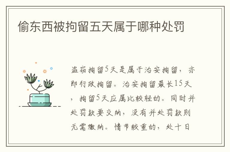 偷東西被拘留五天屬于哪種處罰