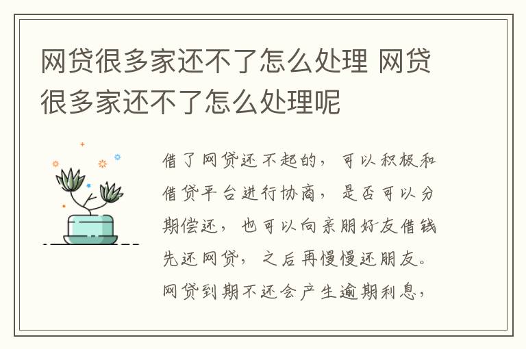 網(wǎng)貸很多家還不了怎么處理 網(wǎng)貸很多家還不了怎么處理呢