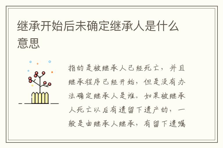 繼承開始后未確定繼承人是什么意思