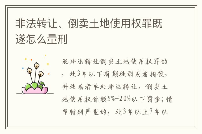 非法轉(zhuǎn)讓、倒賣土地使用權(quán)罪既遂怎么量刑