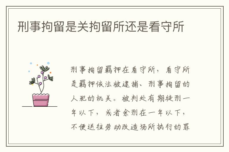 刑事拘留是關(guān)拘留所還是看守所