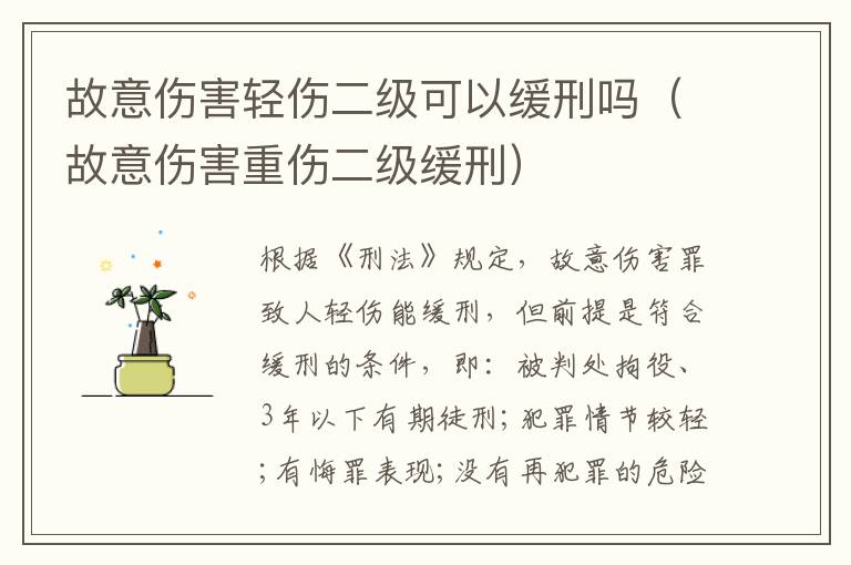 故意傷害輕傷二級可以緩刑嗎（故意傷害重傷二級緩刑）