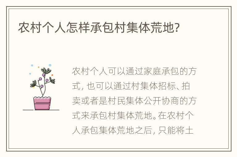 農村個人怎樣承包村集體荒地？