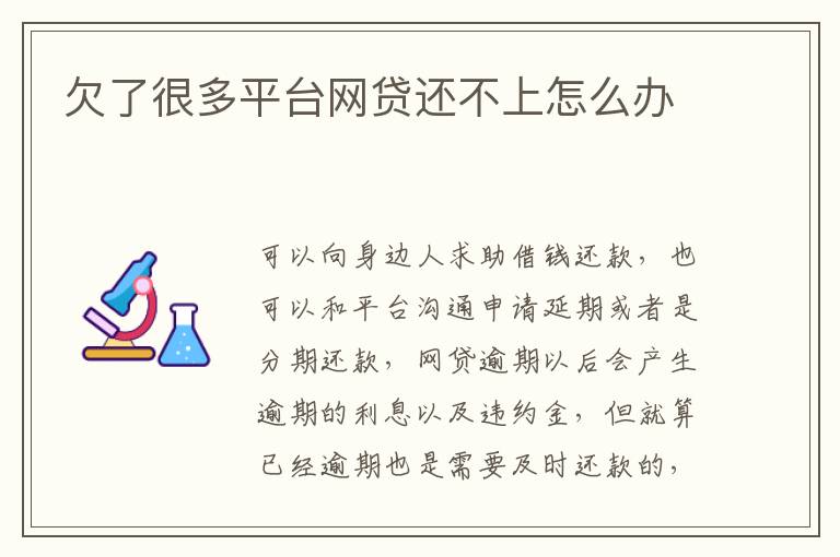 欠了很多平臺(tái)網(wǎng)貸還不上怎么辦