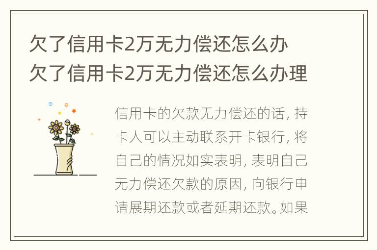 欠了信用卡2萬(wàn)無(wú)力償還怎么辦 欠了信用卡2萬(wàn)無(wú)力償還怎么辦理