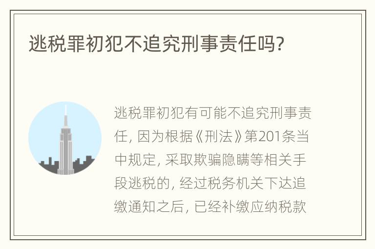逃稅罪初犯不追究刑事責(zé)任嗎？