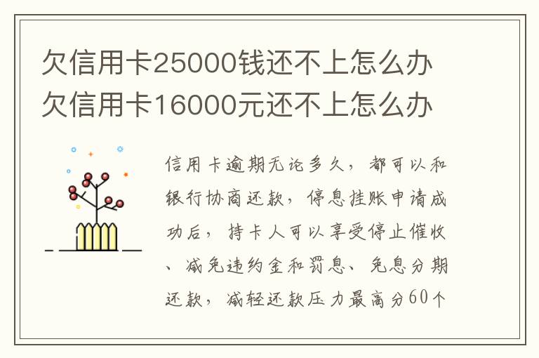 欠信用卡25000錢還不上怎么辦 欠信用卡16000元還不上怎么辦