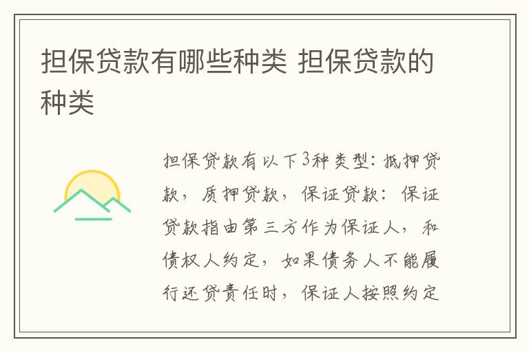 擔(dān)保貸款有哪些種類 擔(dān)保貸款的種類