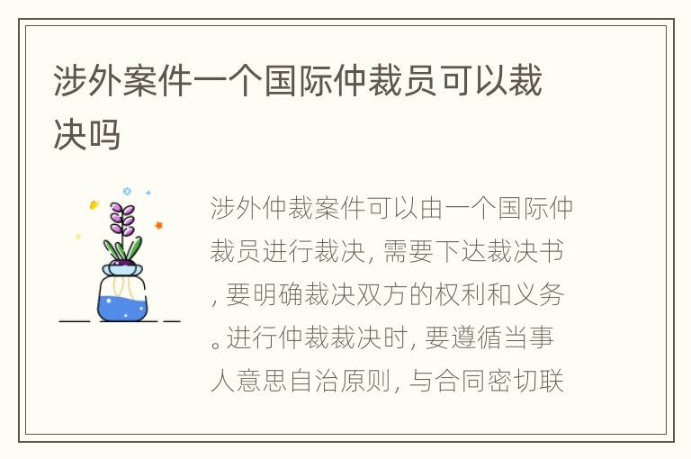 涉外案件一個國際仲裁員可以裁決嗎
