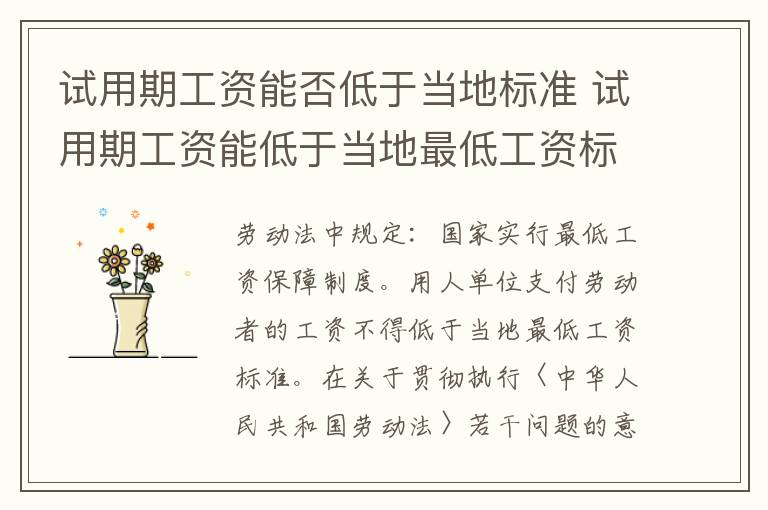 試用期工資能否低于當(dāng)?shù)貥?biāo)準(zhǔn) 試用期工資能低于當(dāng)?shù)刈畹凸べY標(biāo)準(zhǔn)嗎