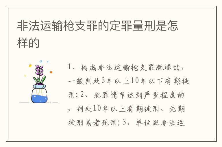 非法運(yùn)輸槍支罪的定罪量刑是怎樣的