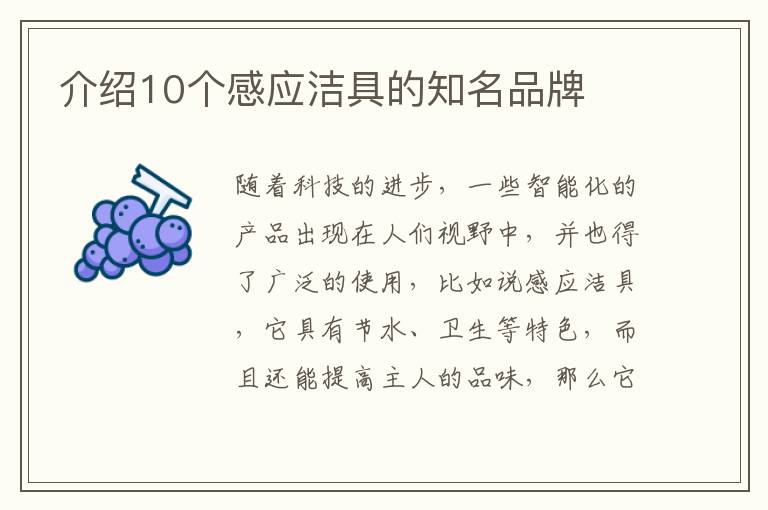 介紹10個感應(yīng)潔具的知名品牌