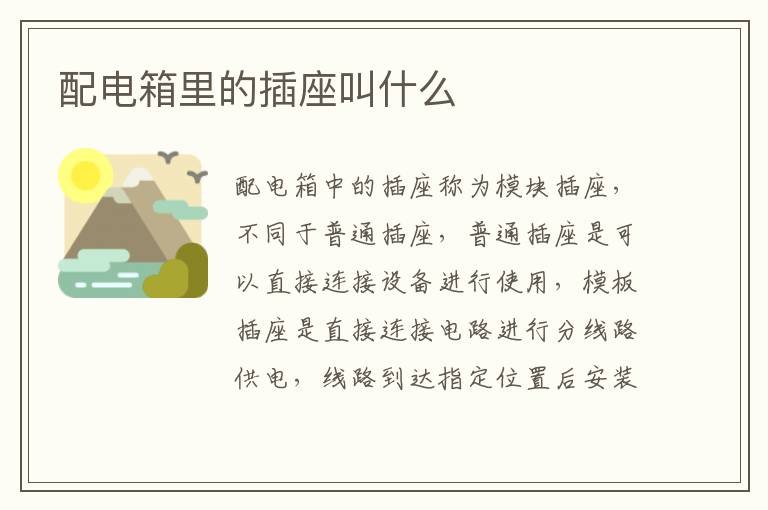 配電箱里的插座叫什么