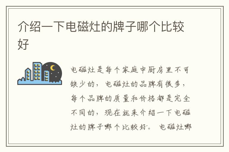 介紹一下電磁灶的牌子哪個比較好
