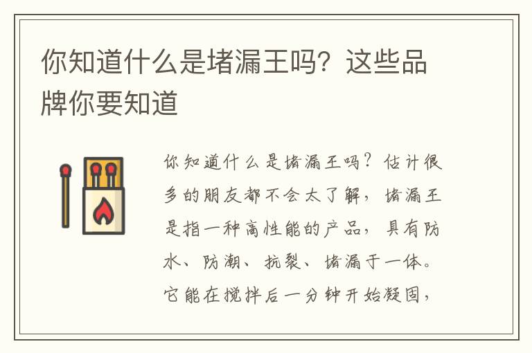你知道什么是堵漏王嗎？這些品牌你要知道