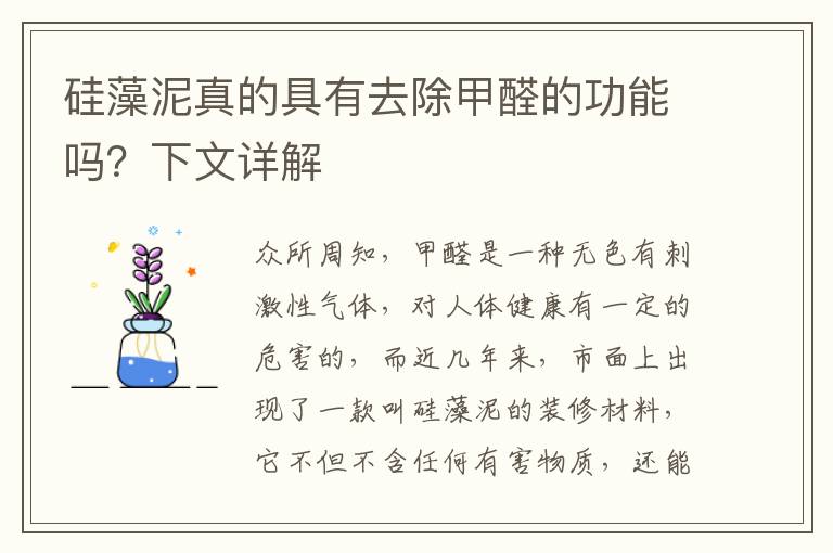 硅藻泥真的具有去除甲醛的功能嗎？下文詳解