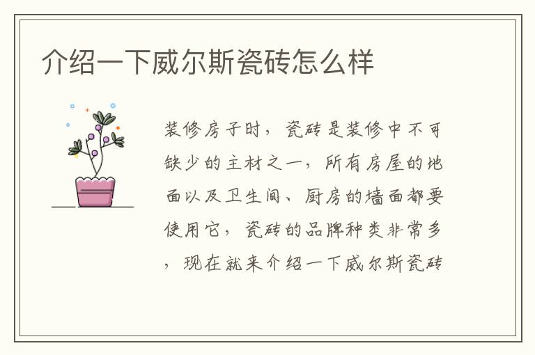 介紹一下威爾斯瓷磚怎么樣