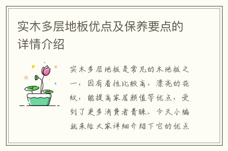 實(shí)木多層地板優(yōu)點(diǎn)及保養(yǎng)要點(diǎn)的詳情介紹