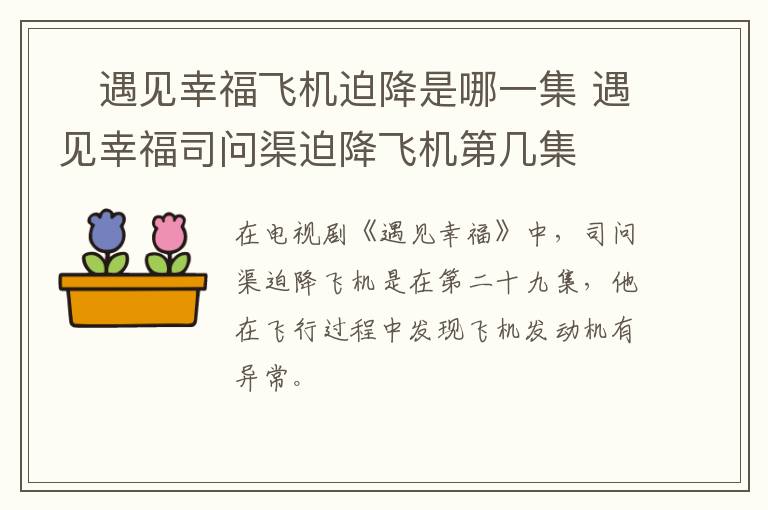 ?遇見幸福飛機迫降是哪一集 遇見幸福司問渠迫降飛機第幾集
