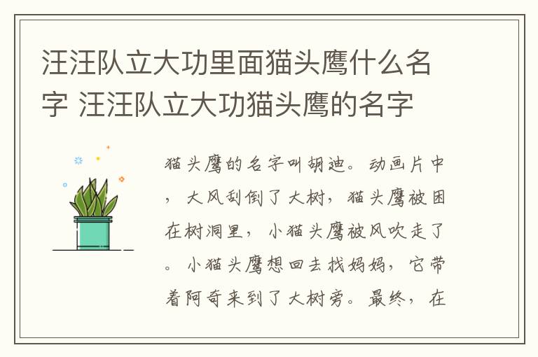 汪汪隊立大功里面貓頭鷹什么名字 汪汪隊立大功貓頭鷹的名字