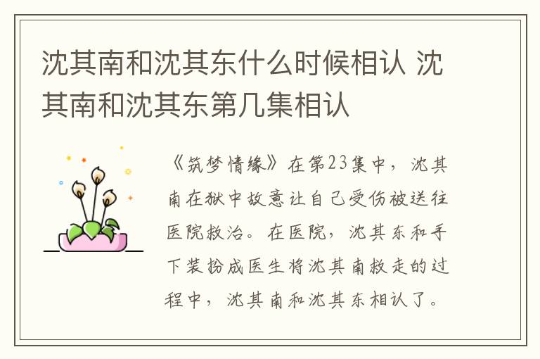 沈其南和沈其東什么時(shí)候相認(rèn) 沈其南和沈其東第幾集相認(rèn)