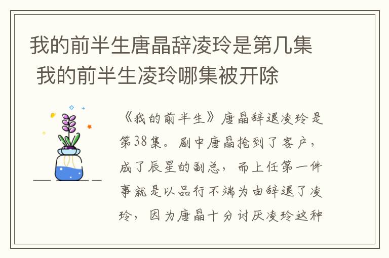 我的前半生唐晶辭凌玲是第幾集 我的前半生凌玲哪集被開除