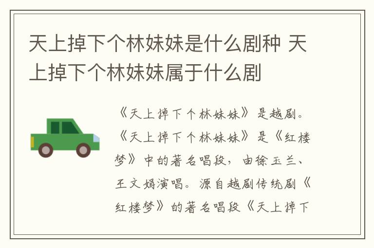 天上掉下個(gè)林妹妹是什么劇種 天上掉下個(gè)林妹妹屬于什么劇