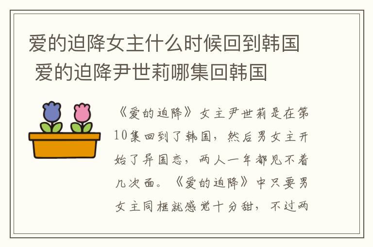 愛的迫降女主什么時(shí)候回到韓國 愛的迫降尹世莉哪集回韓國