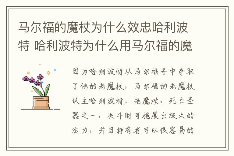 馬爾福的魔杖為什么效忠哈利波特 哈利波特為什么用馬爾福的魔杖