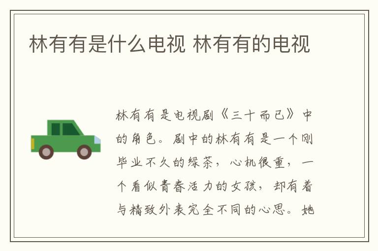 林有有是什么電視 林有有的電視