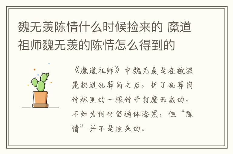 魏無(wú)羨陳情什么時(shí)候撿來(lái)的 魔道祖師魏無(wú)羨的陳情怎么得到的