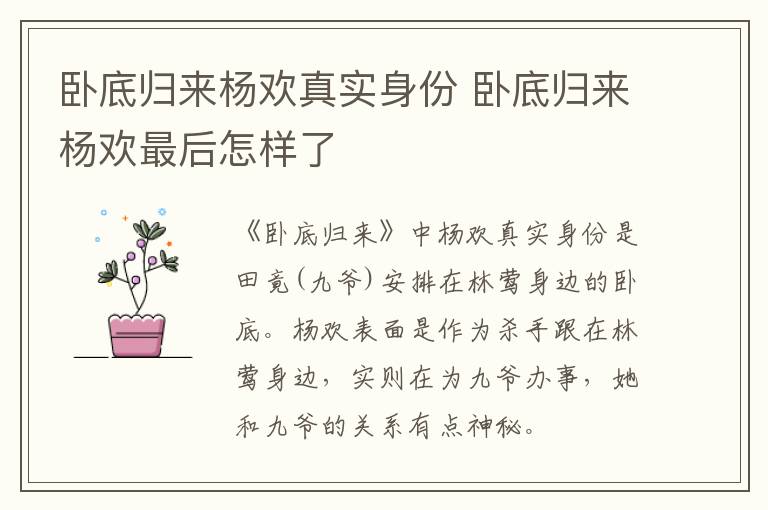 臥底歸來楊歡真實身份 臥底歸來楊歡最后怎樣了