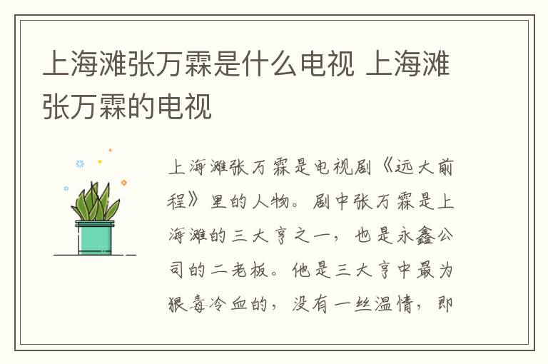 上海灘張萬霖是什么電視 上海灘張萬霖的電視