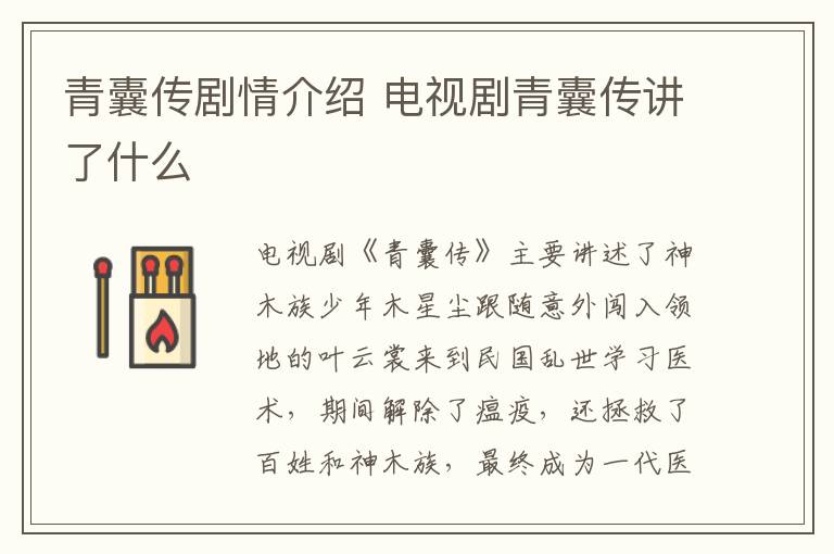 青囊傳劇情介紹 電視劇青囊傳講了什么