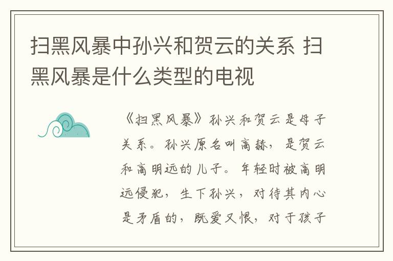 掃黑風(fēng)暴中孫興和賀云的關(guān)系 掃黑風(fēng)暴是什么類型的電視