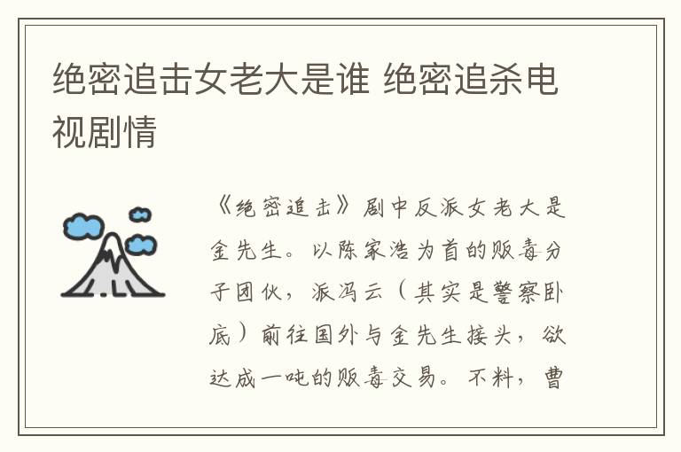 絕密追擊女老大是誰 絕密追殺電視劇情