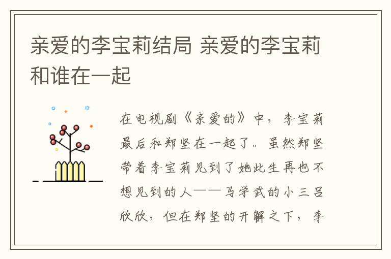 親愛的李寶莉結(jié)局 親愛的李寶莉和誰(shuí)在一起