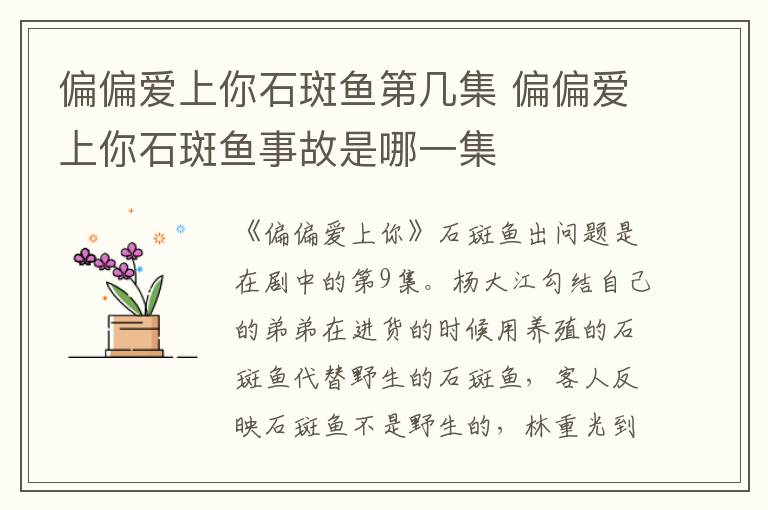 偏偏愛(ài)上你石斑魚(yú)第幾集 偏偏愛(ài)上你石斑魚(yú)事故是哪一集