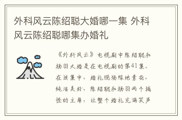 外科風(fēng)云陳紹聰大婚哪一集 外科風(fēng)云陳紹聰哪集辦婚禮