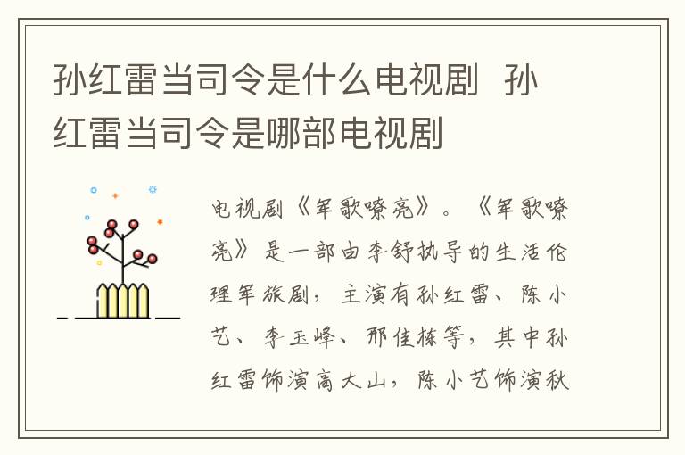 孫紅雷當司令是什么電視劇  孫紅雷當司令是哪部電視劇