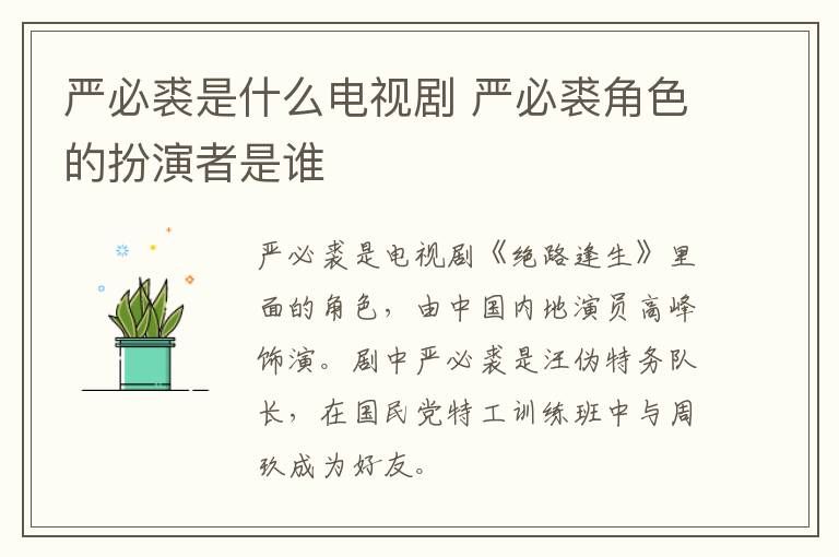 嚴必裘是什么電視劇 嚴必裘角色的扮演者是誰