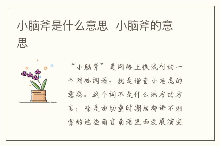 小腦斧是什么意思  小腦斧的意思