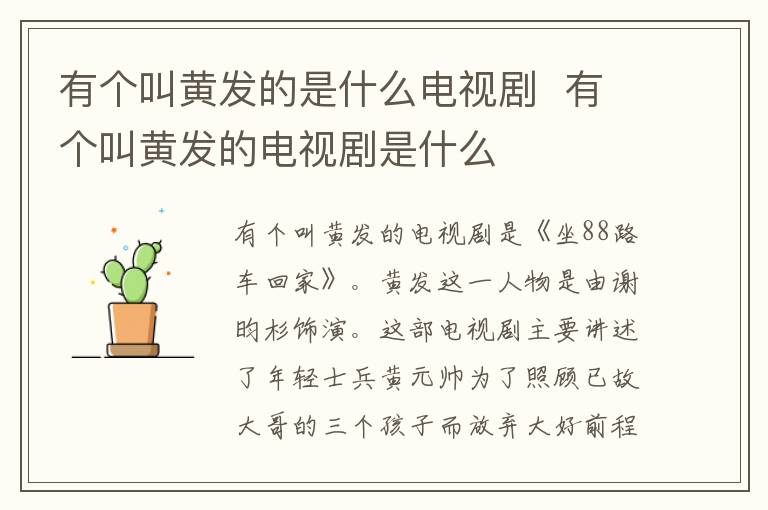 有個叫黃發(fā)的是什么電視劇  有個叫黃發(fā)的電視劇是什么