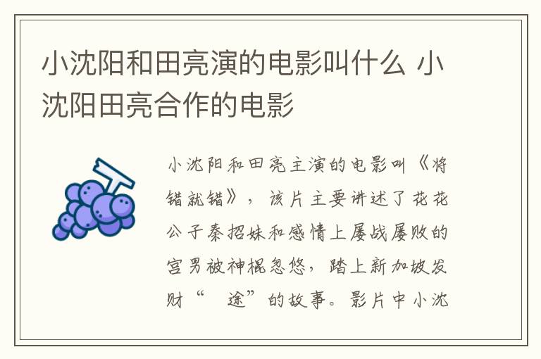 小沈陽和田亮演的電影叫什么 小沈陽田亮合作的電影